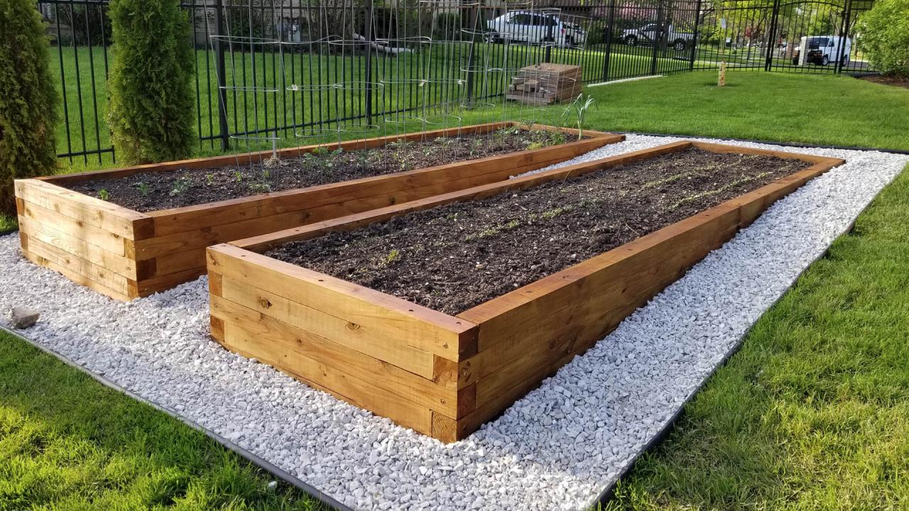 Plants That Require Too Much Space for Raised Beds