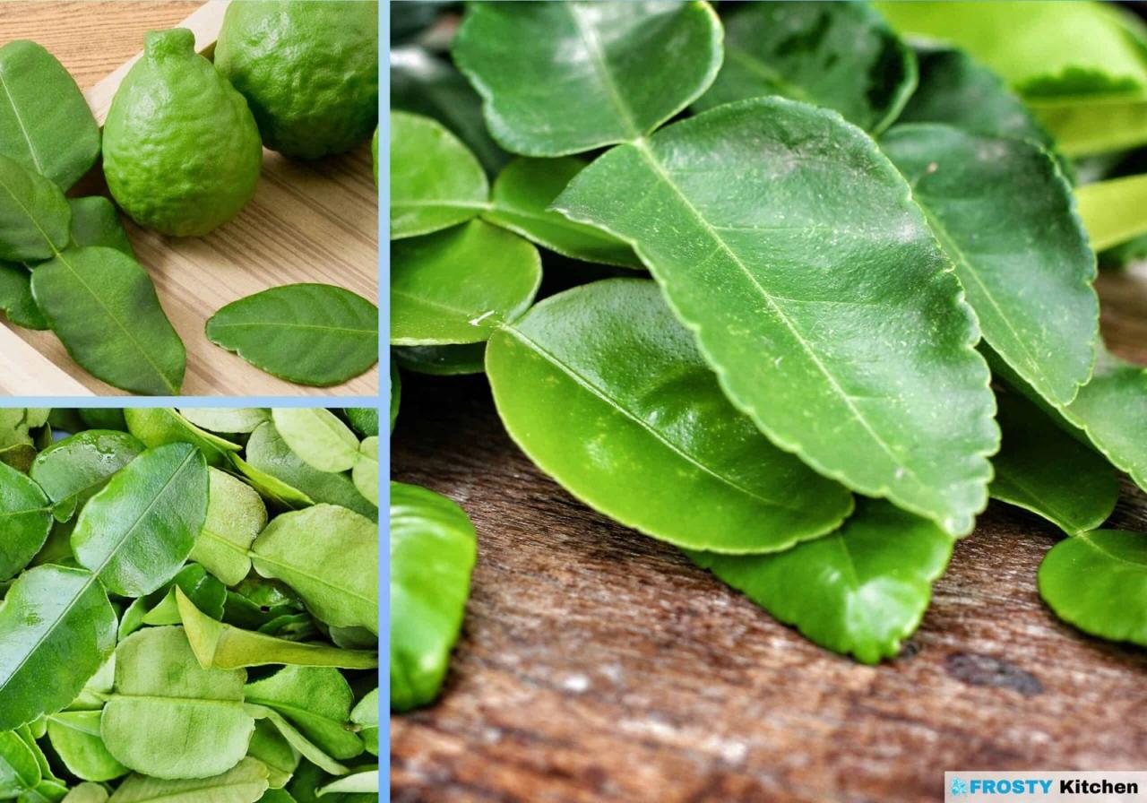 Transform Your Cooking with Kaffir Lime Leaf: A Comprehensive Guide for Home Cooks