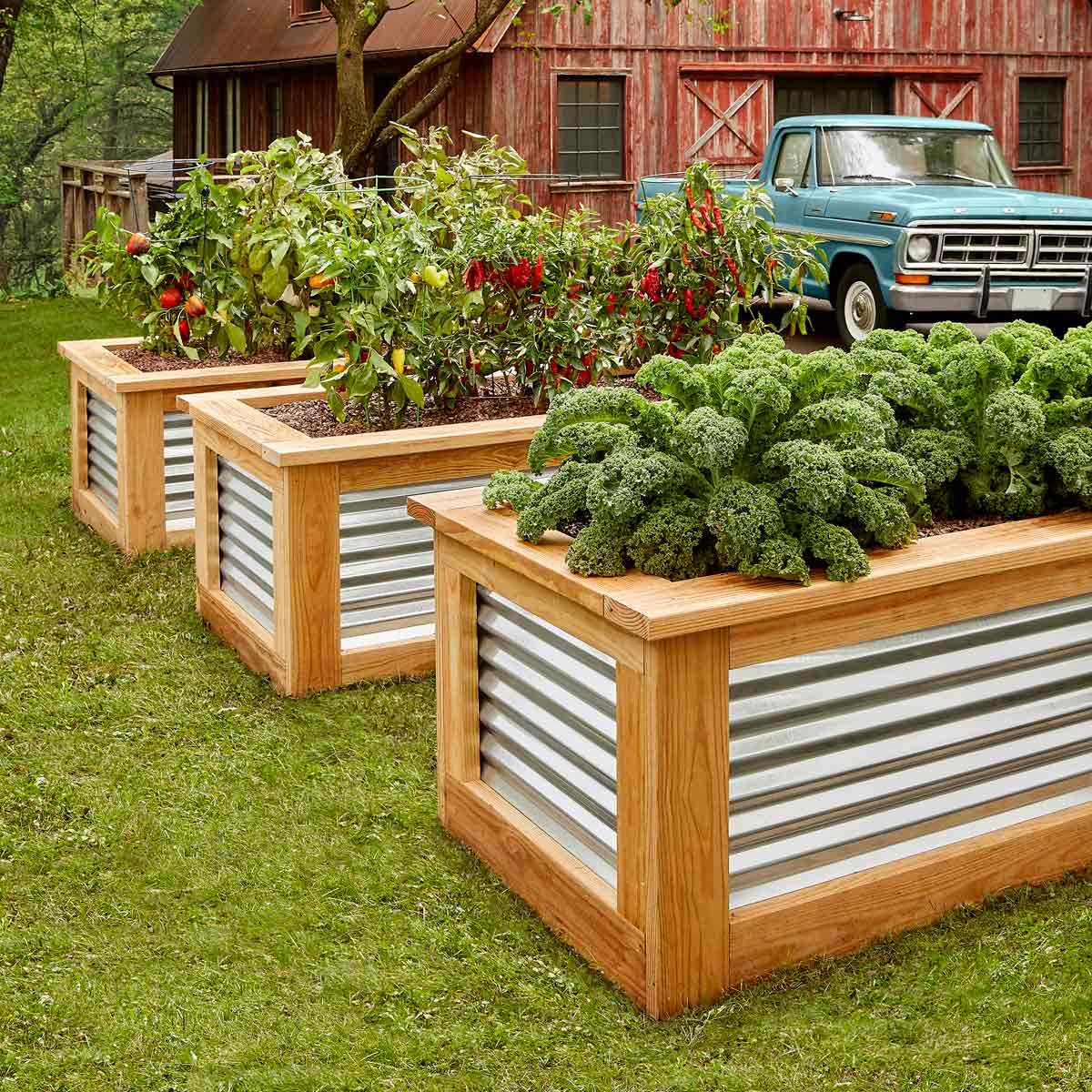 Plants That Require Too Much Space for Raised Beds