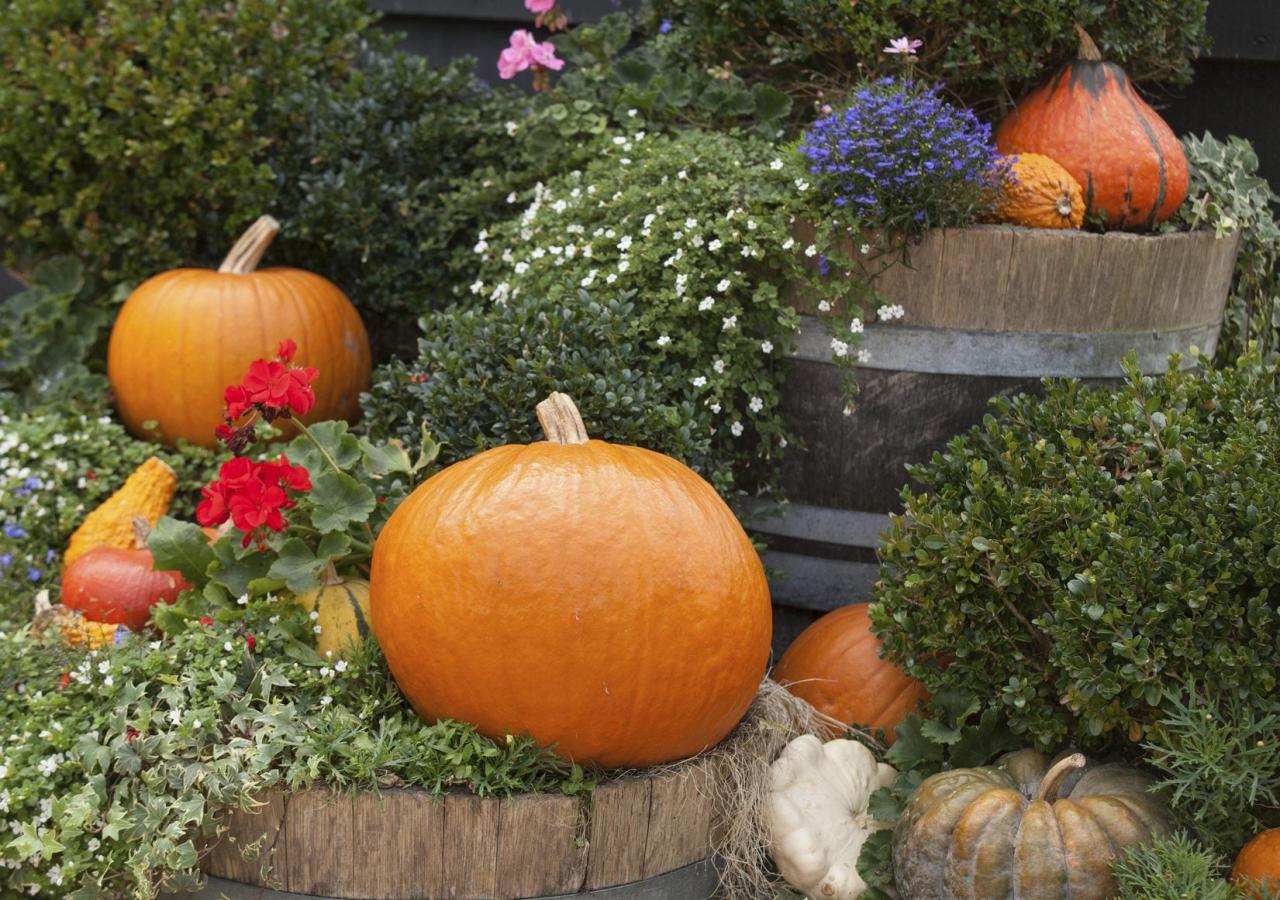 Best Foliage Plants for a Ghoulish Halloween Theme